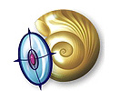 ClamWin Free Antivirus 0.99 썸네일